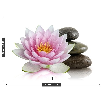 Bildtapete Lotus blume