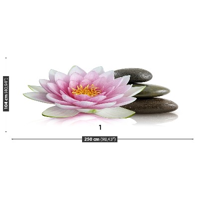 Bildtapete Lotus blume