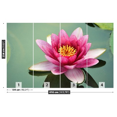 Bildtapete Lotus blume