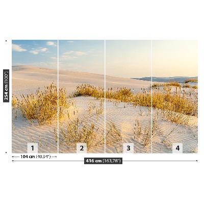 Fototapete Ostsee dünen