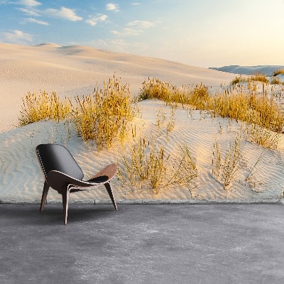 Fototapete Ostsee dünen