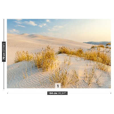 Fototapete Ostsee dünen