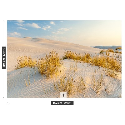 Fototapete Ostsee dünen
