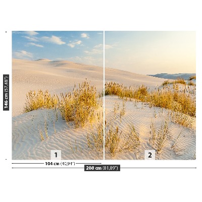 Fototapete Ostsee dünen