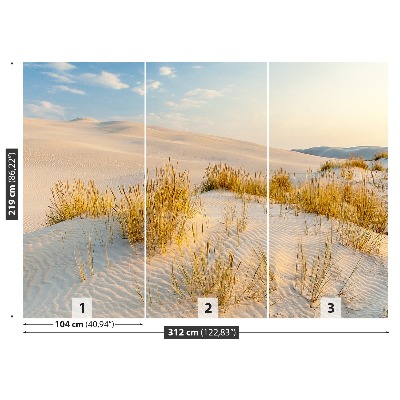 Fototapete Ostsee dünen