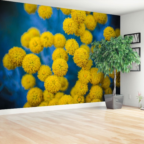 Bildtapete Gelbe blumen