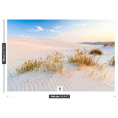 Fototapete Seedünen