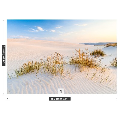 Fototapete Seedünen