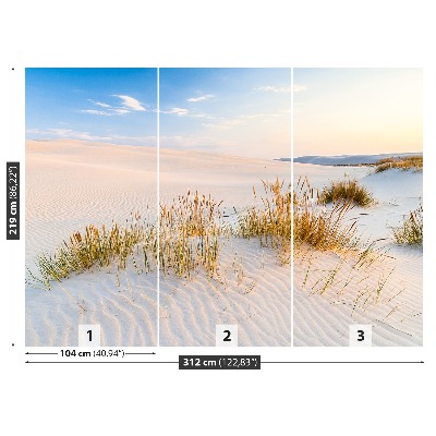 Fototapete Seedünen