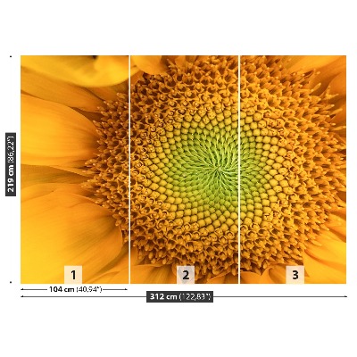 Bildtapete Sonnenblume