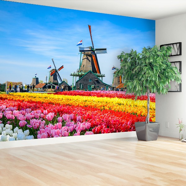 Fototapete Tulpen windmühlen