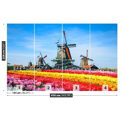 Fototapete Tulpen windmühlen