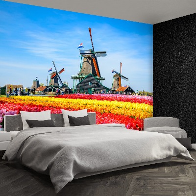 Fototapete Tulpen windmühlen