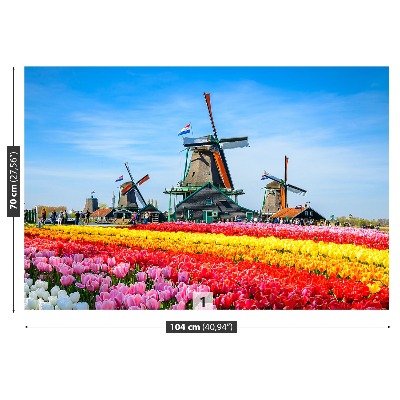 Fototapete Tulpen windmühlen
