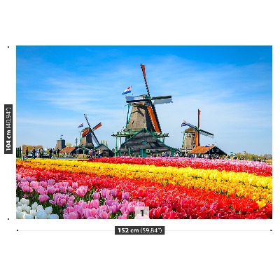 Fototapete Tulpen windmühlen