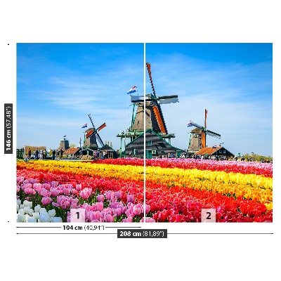 Fototapete Tulpen windmühlen