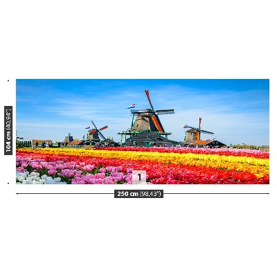 Fototapete Tulpen windmühlen