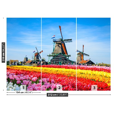 Fototapete Tulpen windmühlen
