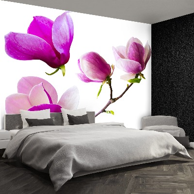 Bildtapete Magnolienblüten