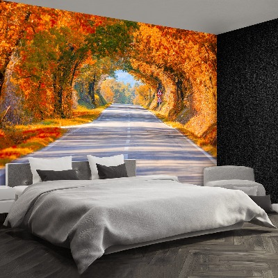 Wandtapete Straße im herbst