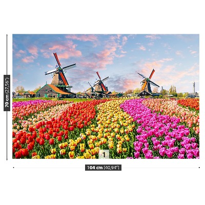 Wandtapete Tulpen windmühlen