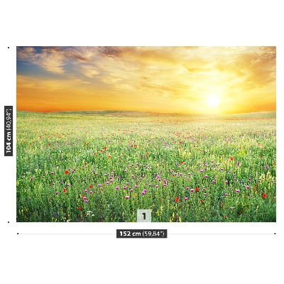 Wandtapete Frühlingswiese