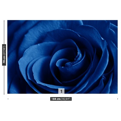 Bildtapete Blaue rose