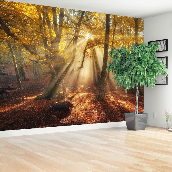 Wandtapete Magic forest