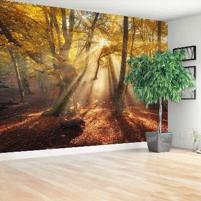Wandtapete Magic forest