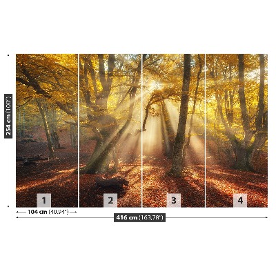 Wandtapete Magic forest