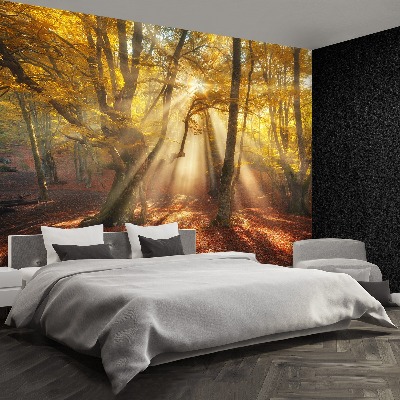 Wandtapete Magic forest