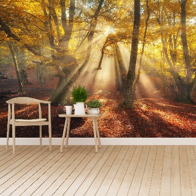 Wandtapete Magic forest