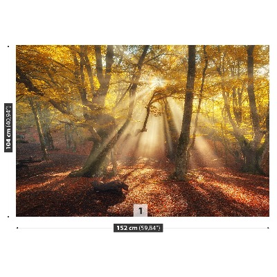 Wandtapete Magic forest