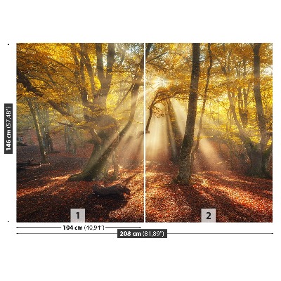 Wandtapete Magic forest
