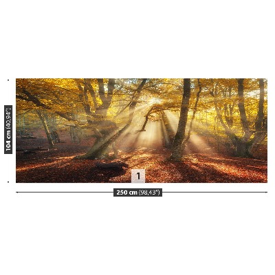 Wandtapete Magic forest