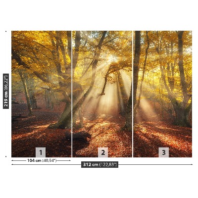 Wandtapete Magic forest