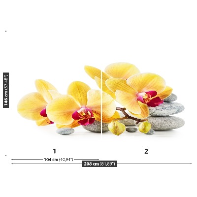 Bildtapete Gelbe orchidee