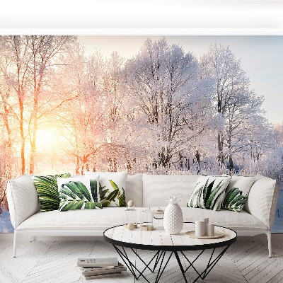 Wandtapete Winter bäume
