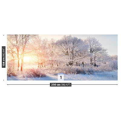 Wandtapete Winter bäume