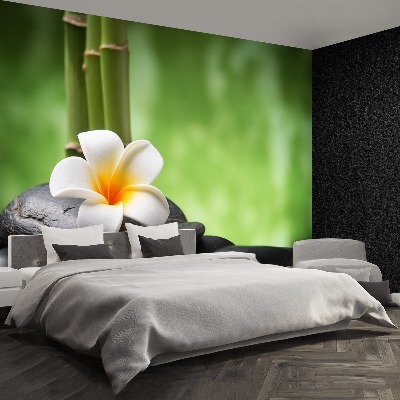 Bildtapete Blume spa