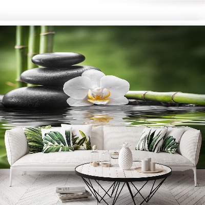 Bildtapete Orchid und zen