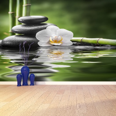 Bildtapete Orchid und zen