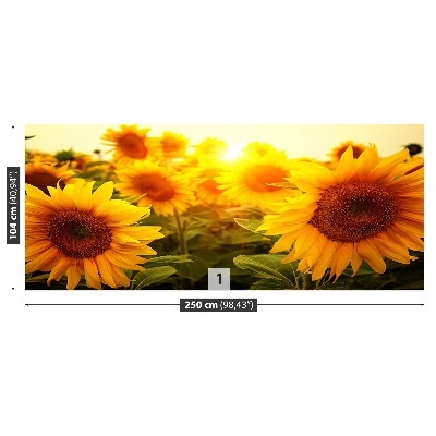 Bildtapete Sunflowers