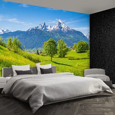 Wandtapete Sommer alpen