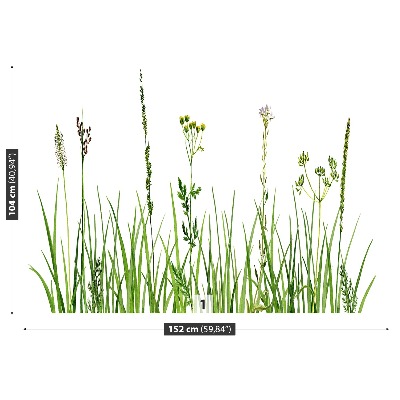 Bildtapete Kräuter gras