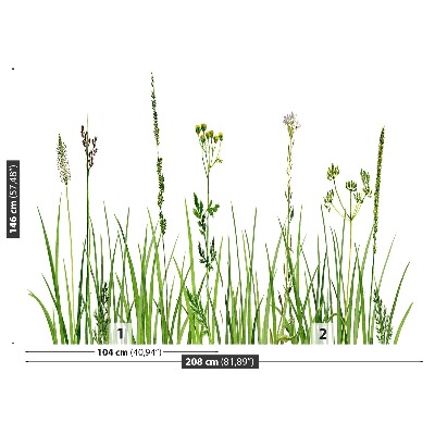 Bildtapete Kräuter gras