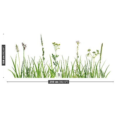 Bildtapete Kräuter gras