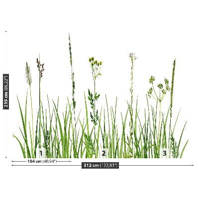 Bildtapete Kräuter gras