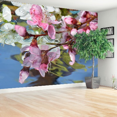 Bildtapete Kirschblüte wasser