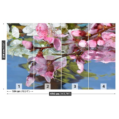 Bildtapete Kirschblüte wasser